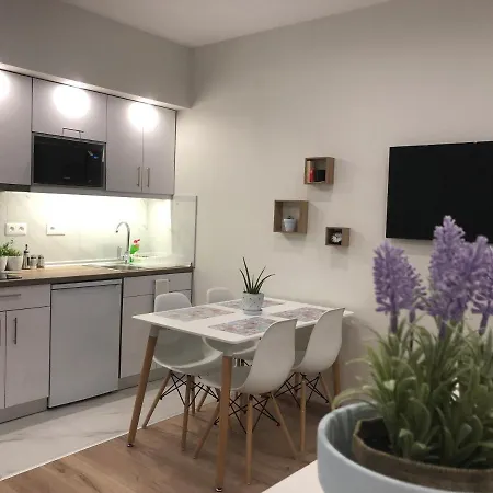 Deluxe A Apartment *